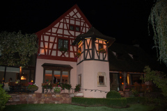 20091010-214514-01_C20D