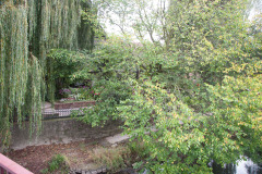 20091011-130356-01_C20D
