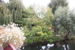 20091011-130410-01_C20D