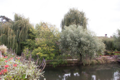 20091011-130428-01_C20D