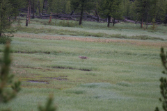 20100626-071102-01_C20D