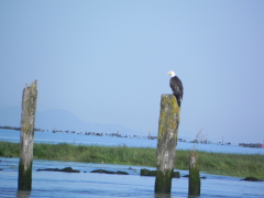 20100714-090114-01_P100