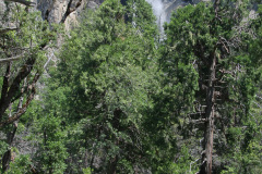 20100708-143452-01_C20D