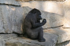 Berlin 2011