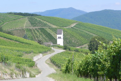 Katzenthal, Alsace