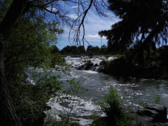 Idaho Falls, Idaho, USA