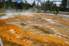 Yellowstone National Parl, Wyoming, USA. Det mest fantastiske og magiske sted i verden, med vandfald, geysere, vilde bjørne, ulve, elge og meget mere. Prøv det en gang, og du bliver afhængig.