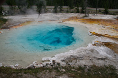 Yellowstone National Parl, Wyoming, USA. Det mest fantastiske og magiske sted i verden, med vandfald, geysere, vilde bjørne, ulve, elge og meget mere. Prøv det en gang, og du bliver afhængig.