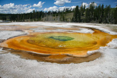 Yellowstone National Parl, Wyoming, USA. Det mest fantastiske og magiske sted i verden, med vandfald, geysere, vilde bjørne, ulve, elge og meget mere. Prøv det en gang, og du bliver afhængig.
