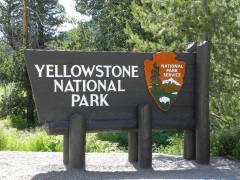 Yellowstone National Parl, Wyoming, USA. Det mest fantastiske og magiske sted i verden, med vandfald, geysere, vilde bjørne, ulve, elge og meget mere. Prøv det en gang, og du bliver afhængig.