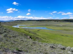 Yellowstone National Parl, Wyoming, USA. Det mest fantastiske og magiske sted i verden, med vandfald, geysere, vilde bjørne, ulve, elge og meget mere. Prøv det en gang, og du bliver afhængig.