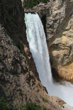 Yellowstone National Parl, Wyoming, USA. Det mest fantastiske og magiske sted i verden, med vandfald, geysere, vilde bjørne, ulve, elge og meget mere. Yellowstone Falls.