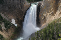 Yellowstone National Parl, Wyoming, USA. Det mest fantastiske og magiske sted i verden, med vandfald, geysere, vilde bjørne, ulve, elge og meget mere. Yellowstone Falls.