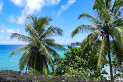 På.tur ad den berømte Road to Hana på vej til, du gættede det, Hana, Maui, Hawaii. Hvis man har tendens til køresyge, så overvej lige en ekstra gang, for vejen er snoet, meget snoet, og meget lang, men man belønnes med smuk natur hele vejen.
