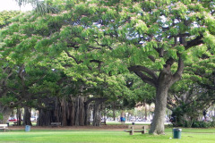 Honolulu, O'ahu, Hawaii