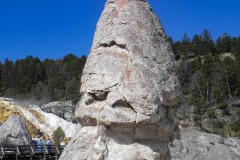 Yellowstone National Parl, Wyoming, USA. Det mest fantastiske og magiske sted i verden, med vandfald, geysere, vilde bjørne, ulve, elge og meget mere. Prøv det en gang, og du bliver afhængig.