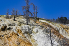 Yellowstone National Parl, Wyoming, USA. Det mest fantastiske og magiske sted i verden, med vandfald, geysere, vilde bjørne, ulve, elge og meget mere. Prøv det en gang, og du bliver afhængig.