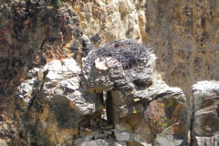 Yellowstone National Parl, Wyoming, USA. Det mest fantastiske og magiske sted i verden, med vandfald, geysere, vilde bjørne, ulve, elge og meget mere. Prøv det en gang, og du bliver afhængig.