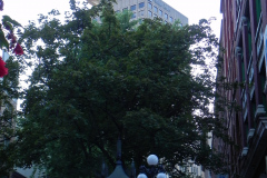 Vancouver, British Columbia, Canada