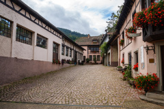 Til smagning hos Kuentz-Bas, Husseren-les-Châteaux, Alsace, Frankrig