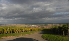 Eguisheim, set fra Husseren-les-Châteaux, Alsace, Frankrig