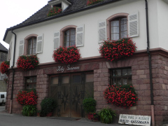 Besøg og smagning hos Rolly Gassmann, Rorschwihr, Alsace, Frankrig