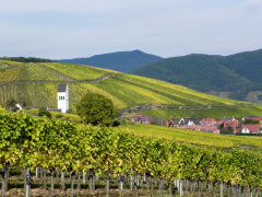 Vinmarker i Alsace