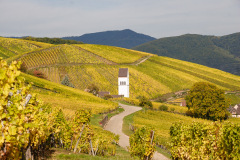 Vinmarker i Alsace