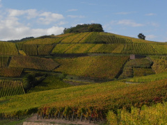Grand Cru Brand, Turckheim, Alsace, Frankrig