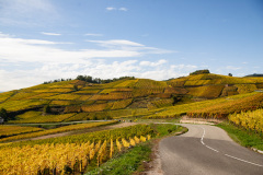 Grand Cru Brand, Turckheim, Alsace, Frankrig