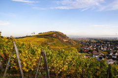Heimbourg, Turckheim, Alsace, Frankrig
