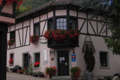 Til smagning hos Kuentz-Bas, Husseren-les-Châteaux, Alsace, Frankrig