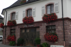 Besøg og smagning hos Rolly Gassmann, Rorschwihr, Alsace, Frankrig