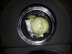 20130209-211016-01_SGS2