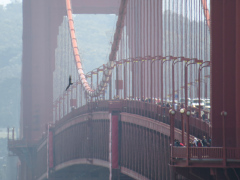 San Francisco, Californien, USA