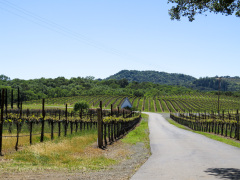 Sonoma Valley, Californien, USA