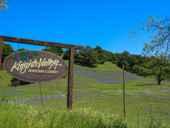Sonoma Valley, Californien, USA