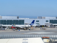 Suk, hjemad mod København med SAS. Vi hader at forlade San Francisco.