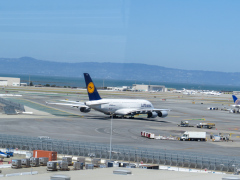 Suk, hjemad mod København med SAS. Vi hader at forlade San Francisco.
