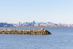 Doubletree by Hilten Berkeley Marina, Berkeley, USA
