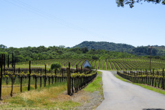 Sonoma Valley, Californien, USA