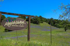 Sonoma Valley, Californien, USA