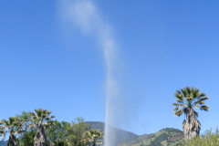 Old Faithful Geyser of California, geyseren findes, og den sprutter regelmæssigt, men lidt af et rip-off for at se den. Så hellere køreturen til Yellowstone National Park, for at se den rigtige.