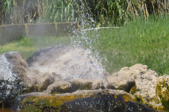 Old Faithful Geyser of California, geyseren findes, og den sprutter regelmæssigt, men lidt af et rip-off for at se den. Så hellere køreturen til Yellowstone National Park, for at se den rigtige.