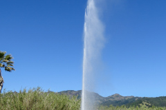 Old Faithful Geyser of California, geyseren findes, og den sprutter regelmæssigt, men lidt af et rip-off for at se den. Så hellere køreturen til Yellowstone National Park, for at se den rigtige.