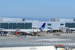 Suk, hjemad mod København med SAS. Vi hader at forlade San Francisco.