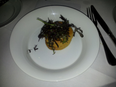 20130606-214021-02_SGS2