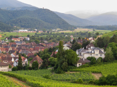 Alsace, Frankrig