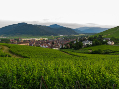 Alsace, Frankrig