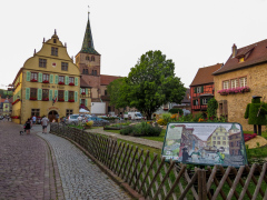 Alsace, Frankrig